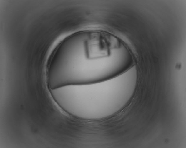 X0000096691472200802051025
