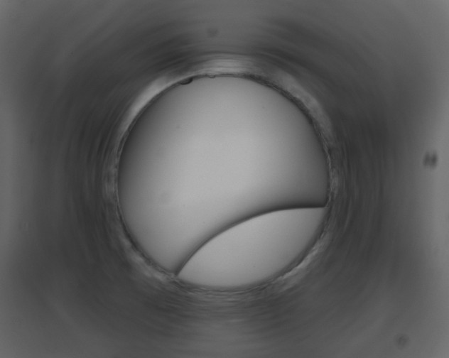 X0000096691473200802051025