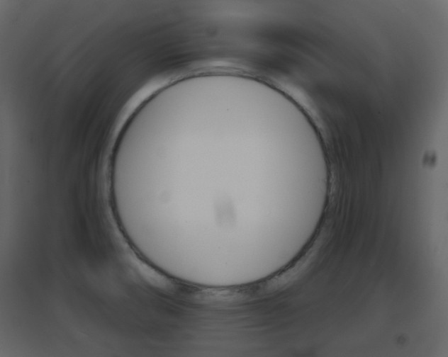 X0000096691474200802051025
