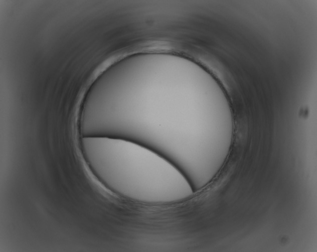 X0000096691475200802051025