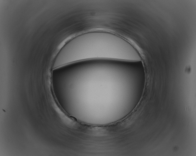X0000096691476200802051025
