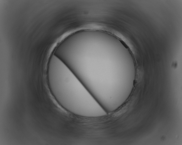 X0000096691477200802051025