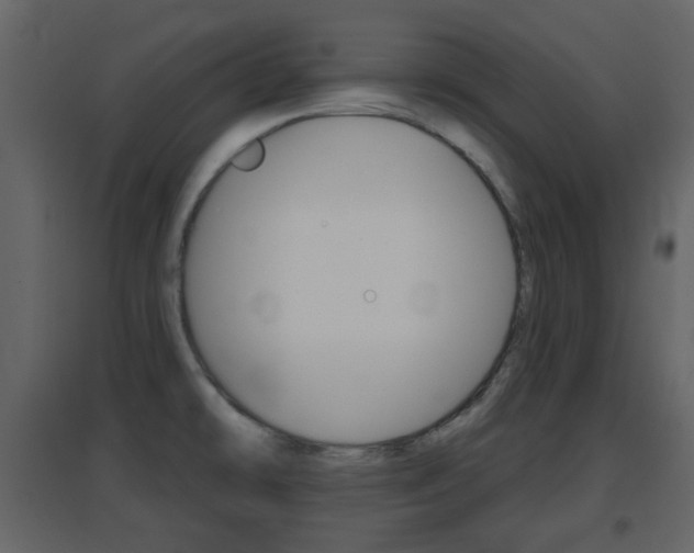 X0000096691478200802051025