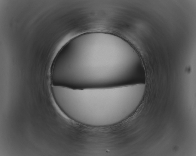X0000096691479200802051025