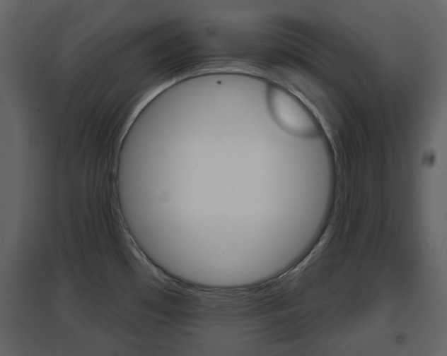 X0000096691481200802051025