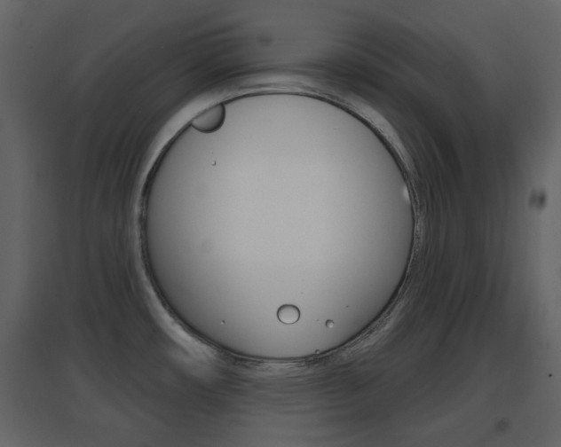 X0000096691482200802051025