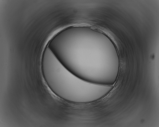 X0000096691485200802051025