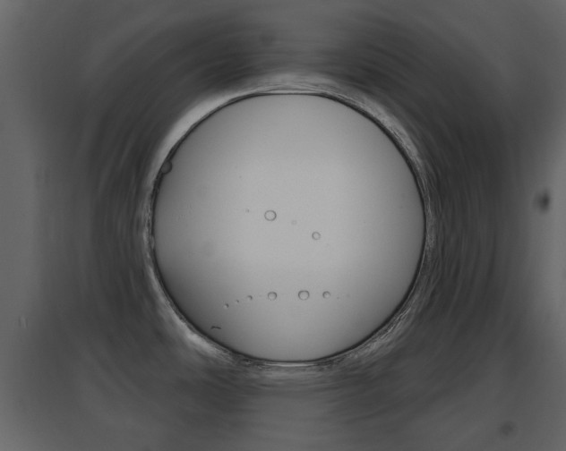 X0000096691486200802051025