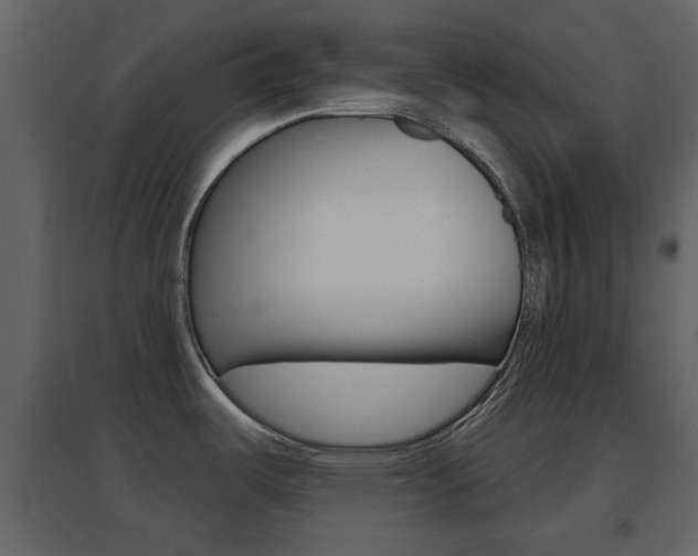 X0000096691487200802051025