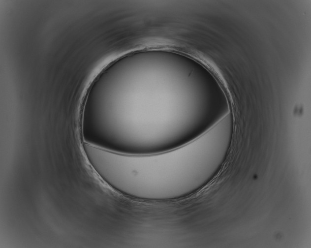 X0000096691488200802051025