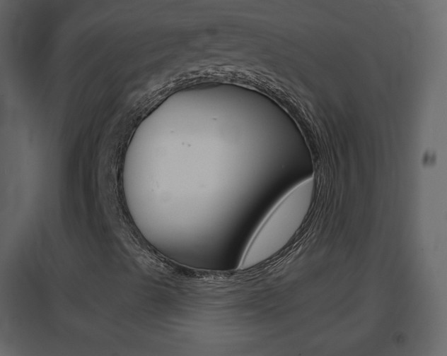 X0000096691489200802051024