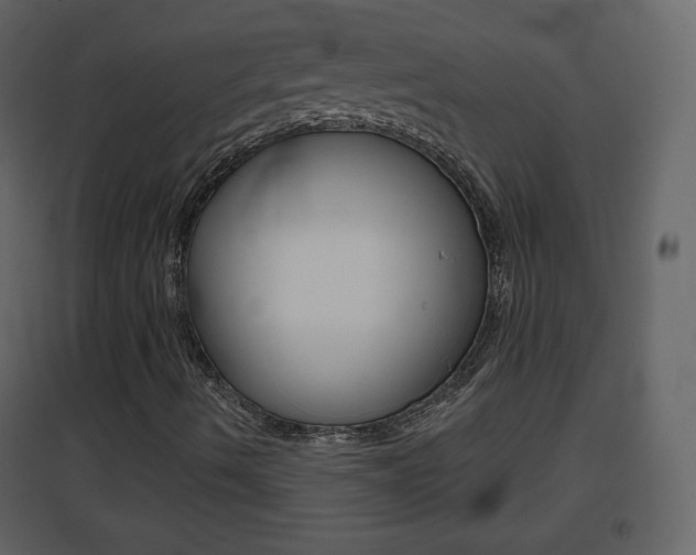 X0000096691490200802051025