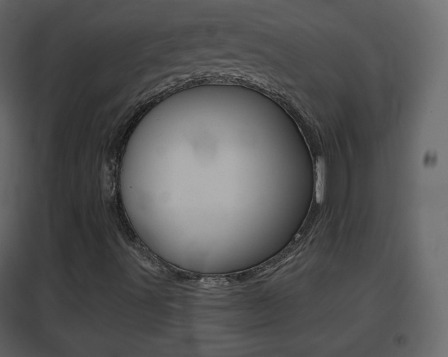 X0000096691491200802051025