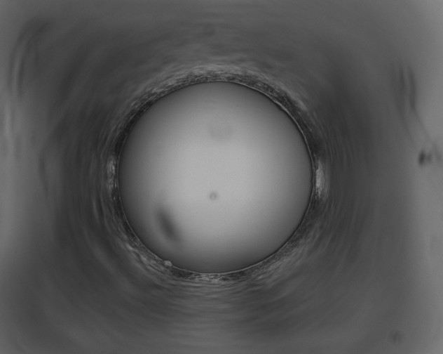 X0000096691492200802051025