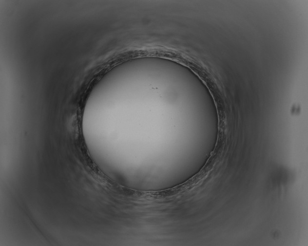 X0000096691493200802051025