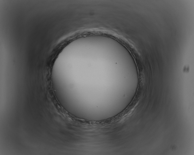 X0000096691494200802051025