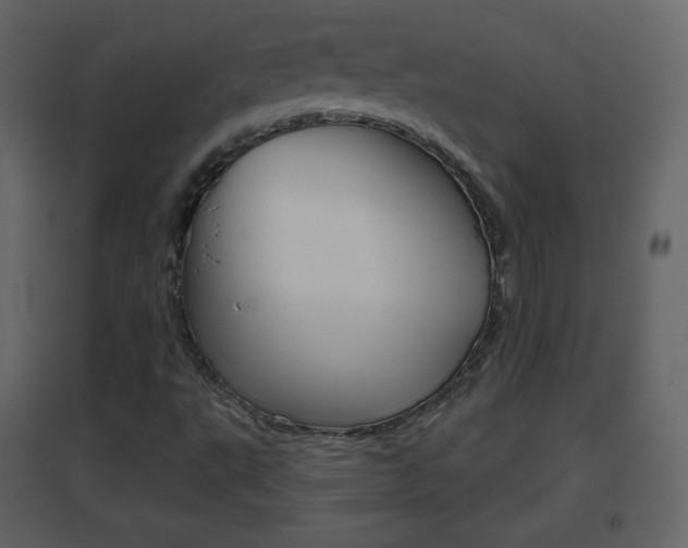 X0000096691495200802051025