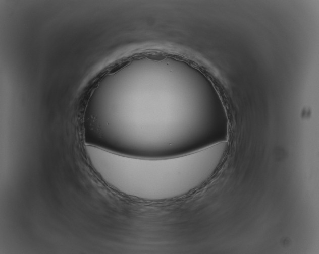 X0000096691496200802051025