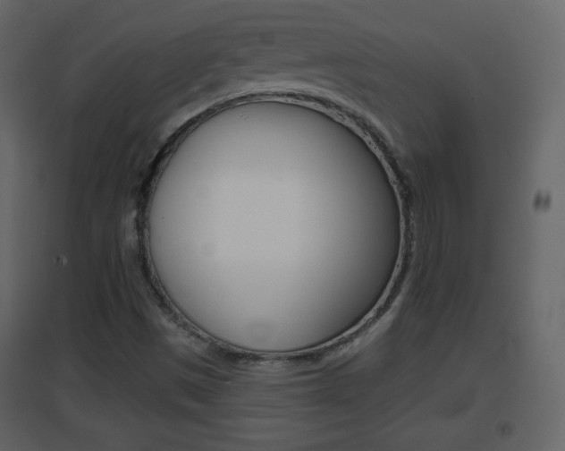 X0000096691497200802051025