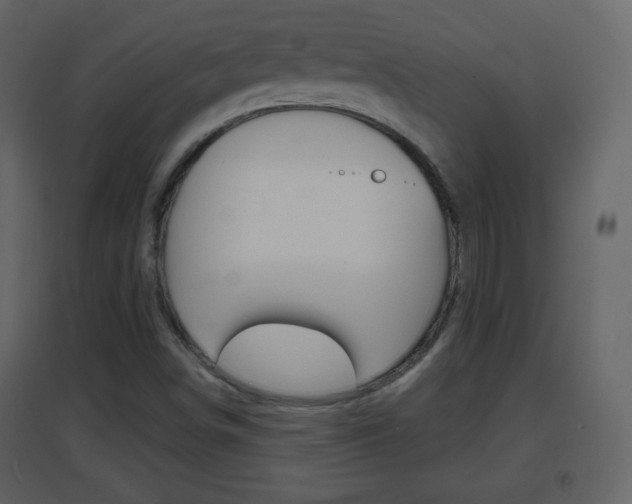 X0000096691498200802051025
