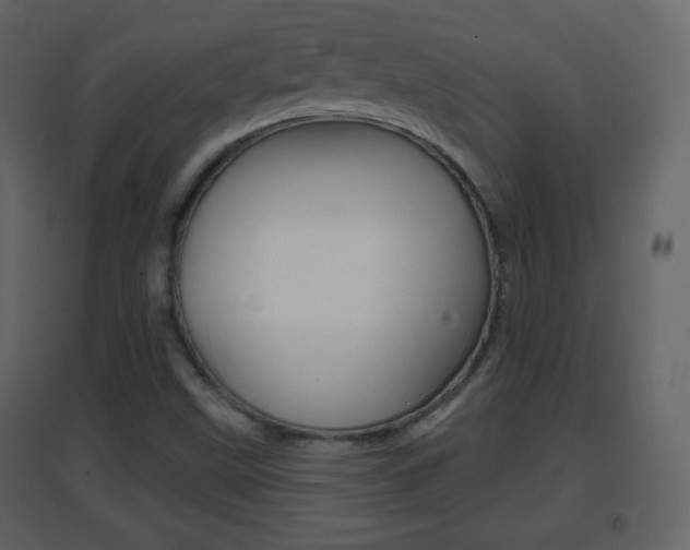 X0000096691499200802051025