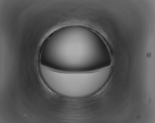 X0000096691500200802051025
