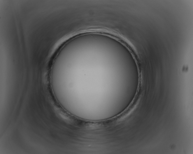 X0000096691501200802051025