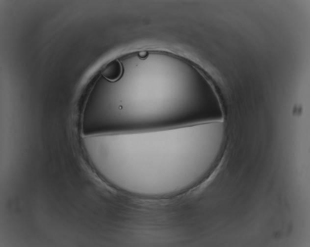X0000096691502200802051025