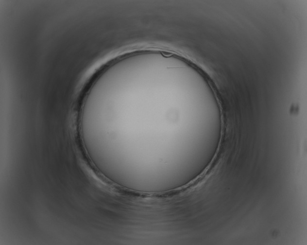 X0000096691503200802051025
