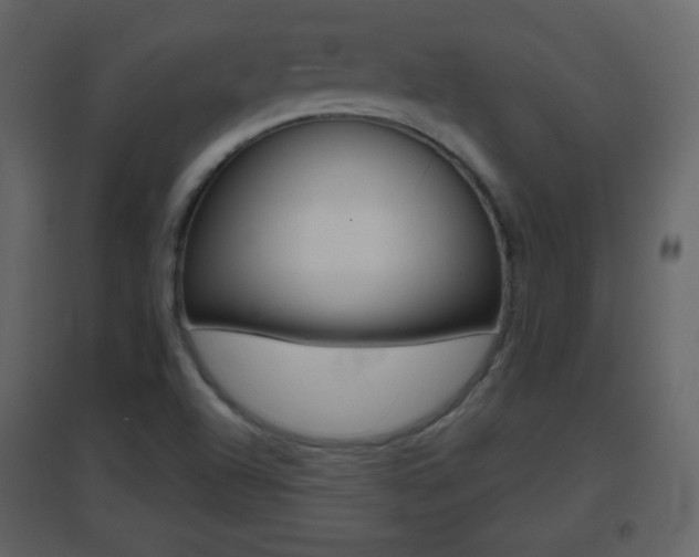 X0000096691504200802051025
