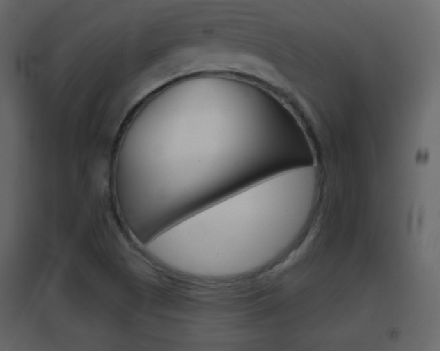 X0000096691505200802051025