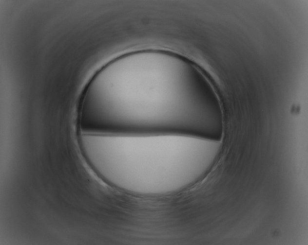 X0000096691508200802051025