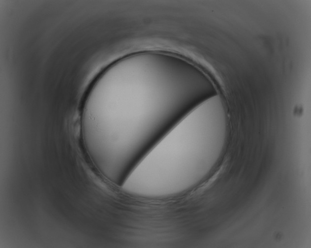 X0000096691509200802051025