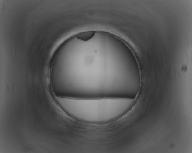 X0000096691510200802051025