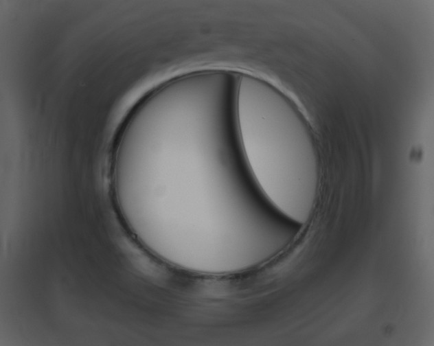 X0000096691511200802051025