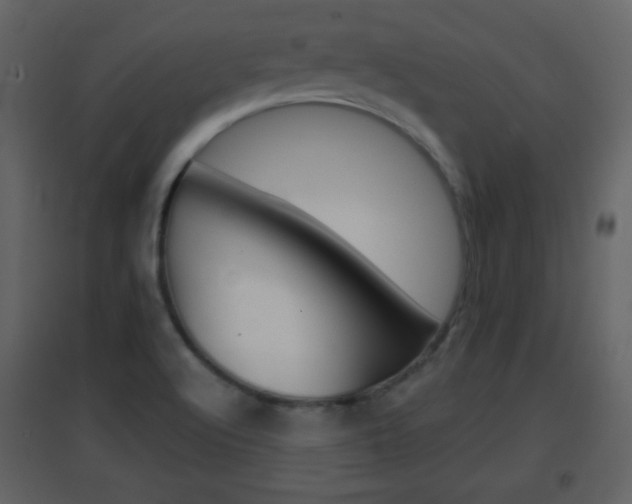 X0000096691512200802051025