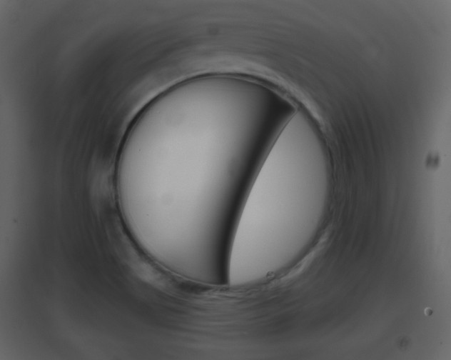 X0000096691513200802051025