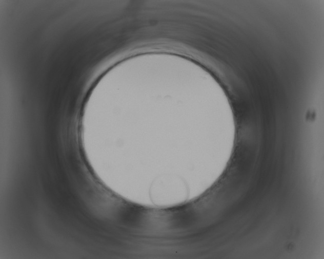 X0000096691514200802051025