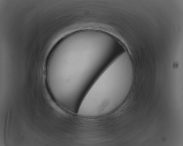 X0000096691515200802051025