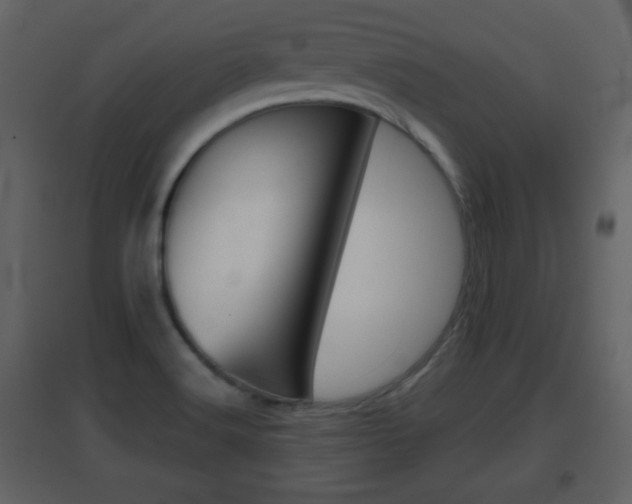 X0000096691516200802051025