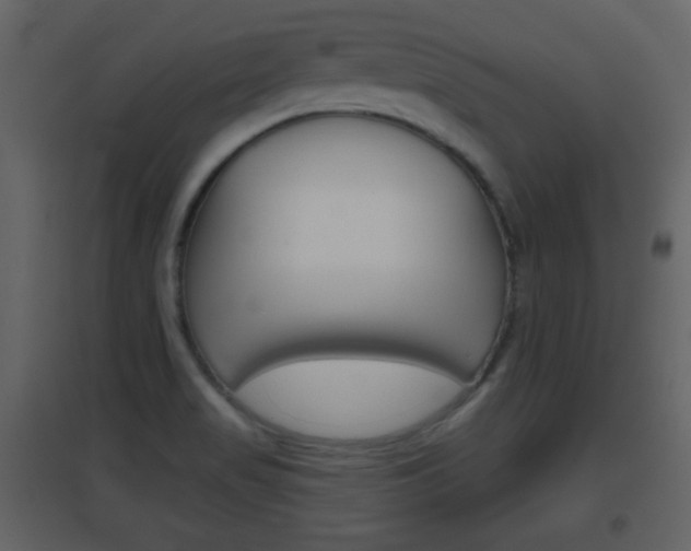 X0000096691517200802051025
