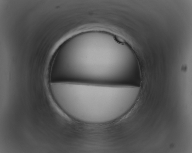 X0000096691518200802051025