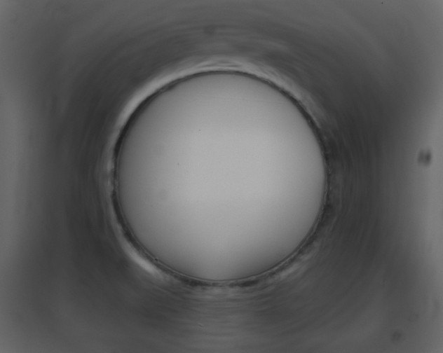 X0000096691519200802051025