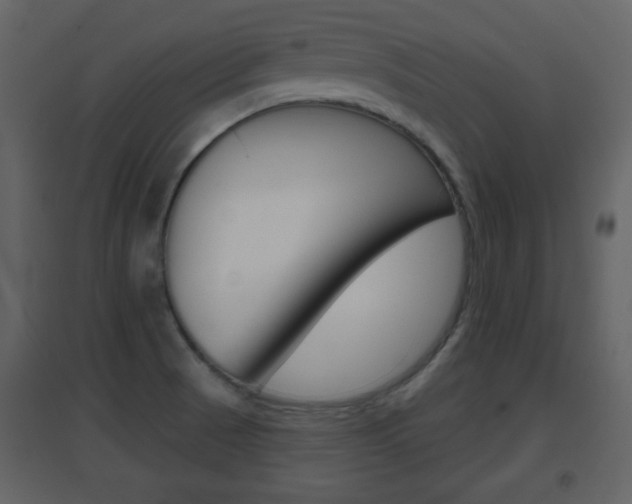 X0000096691521200802051025