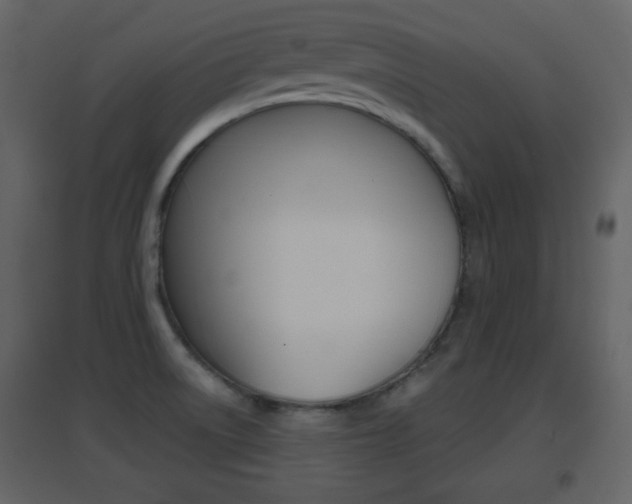 X0000096691522200802051025