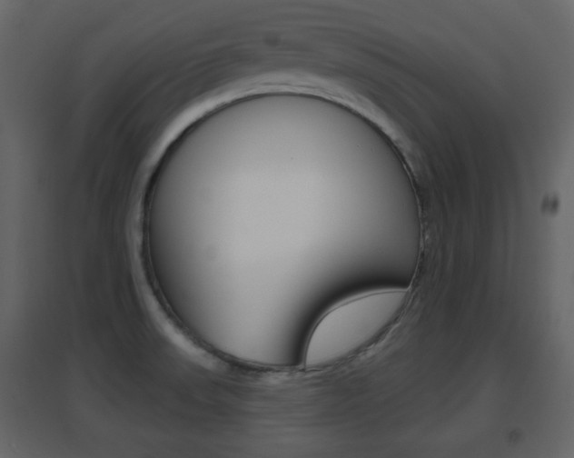 X0000096691523200802051025