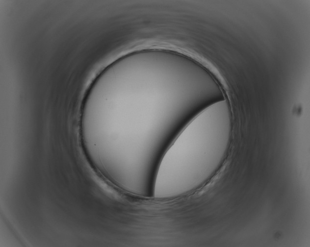 X0000096691525200802051025