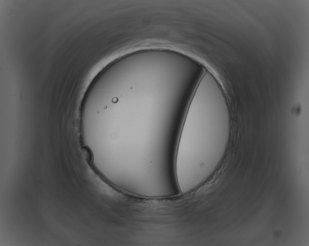 X0000096691527200802051025