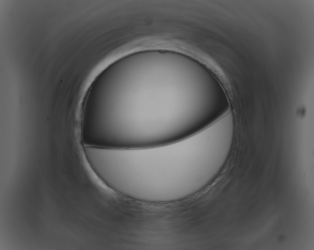 X0000096691528200802051025