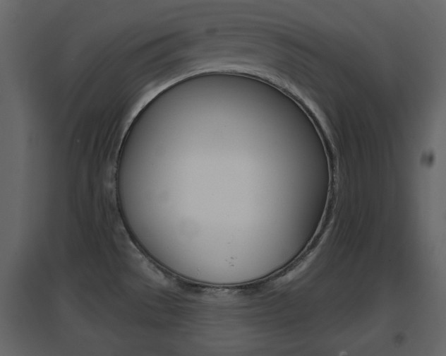 X0000096691529200802051025
